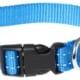 Rogz for dogs snake halsband turquoise