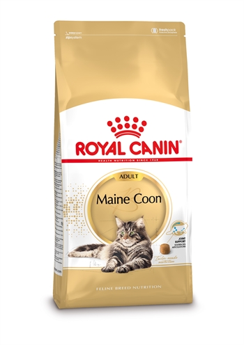 Royal canin maine coon