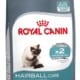 Royal canin intense hairball