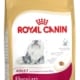 Royal canin persian