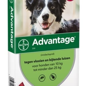 Bayer advantage hond 4 pipetten